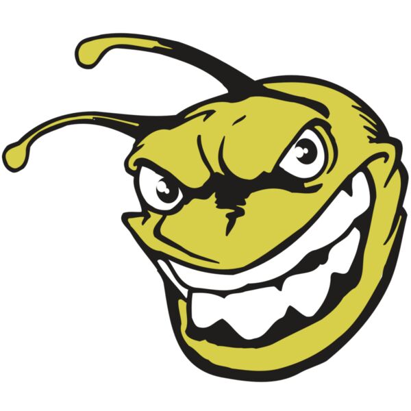 AR5 BEE 08 RQC Thumbnail